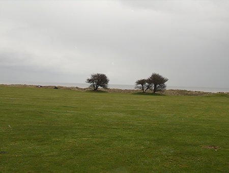 Thumbnail Placeholder