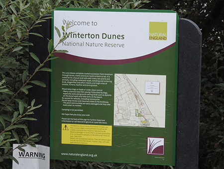 Thumbnail Placeholder