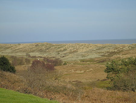 Thumbnail Placeholder