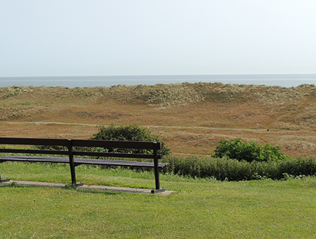 Thumbnail Placeholder