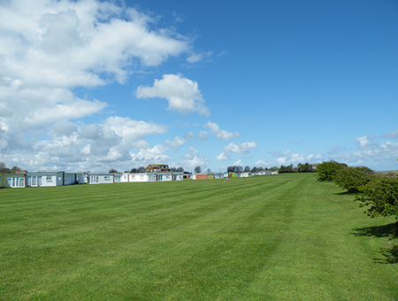 Thumbnail Placeholder