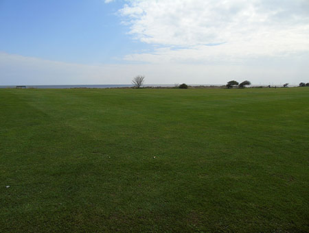 Thumbnail Placeholder