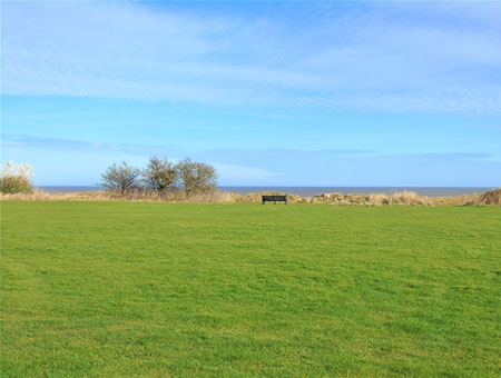 Thumbnail Placeholder